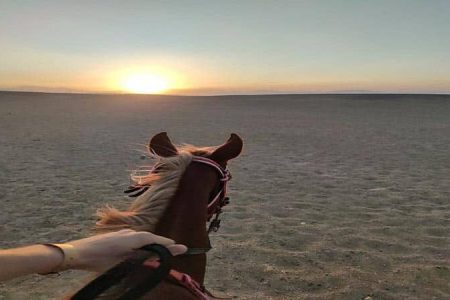 Horse Riding Hurghada