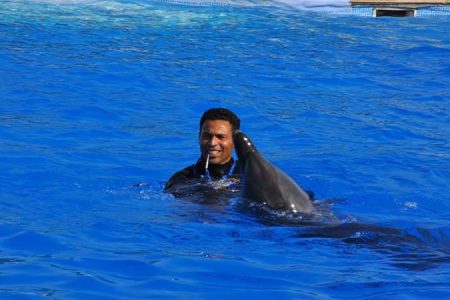 Swimming with Dolphins in Hurghada